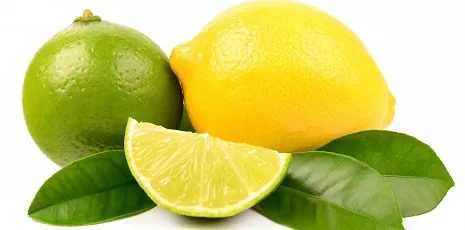 citron jaune et vert